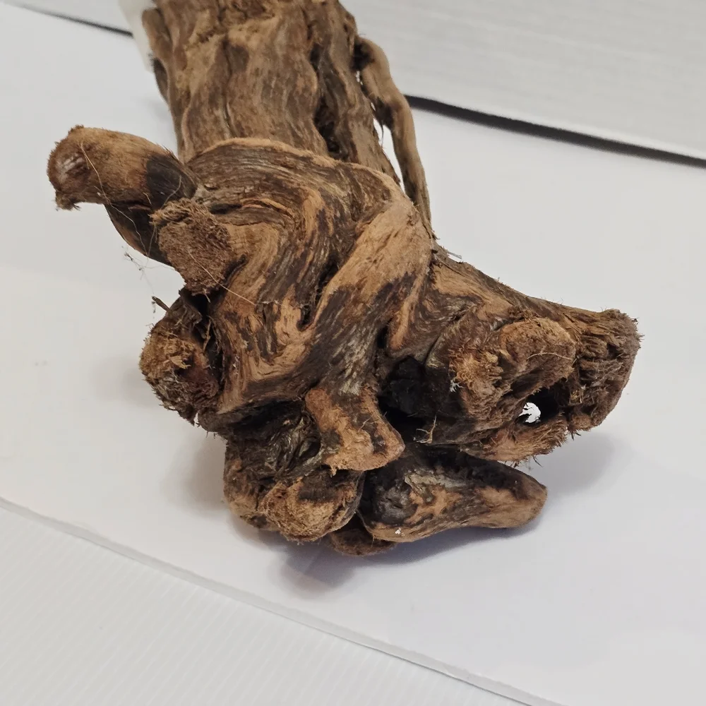 All Living Things Reptile Driftwood